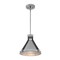 Westinghouse Pendant 60W Pennsauken Industrial Steel Iron Accents 6128400 - alternate 6